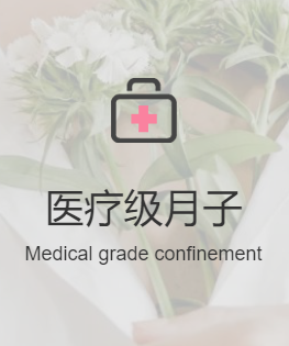 医疗级月子